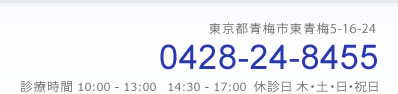 青梅 歯医者/歯科 高橋スマイル歯科 東青梅の歯医者